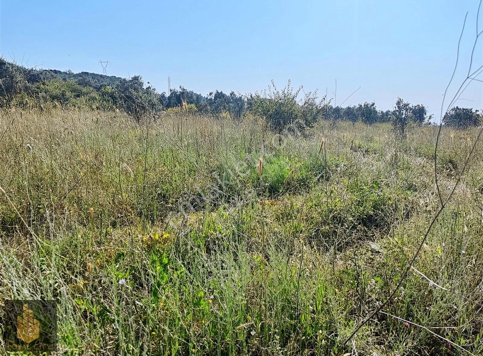 Gemlik Kurtul'da Satılık Arsa