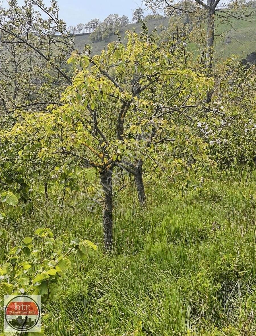 Bursa/mustafakemalpaşa/şapçı Mahallesi Hobbit Taş Ev - Görsel 21
