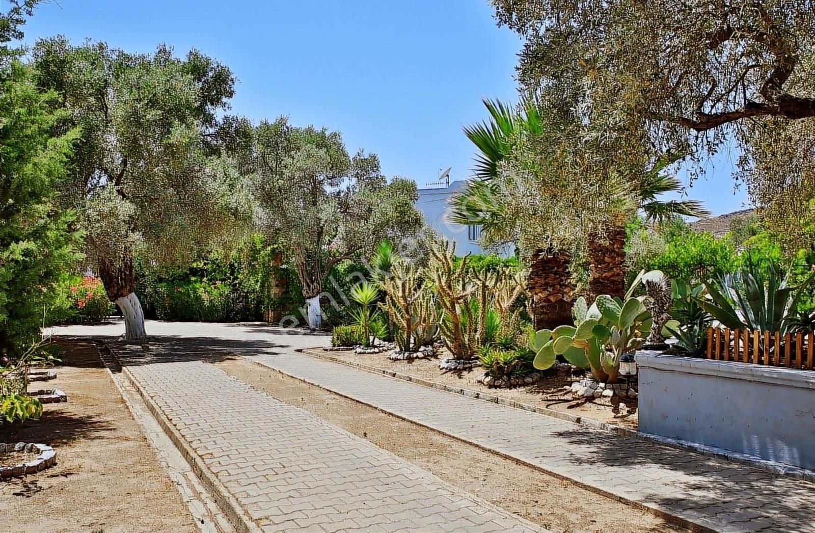 Bitez King House - Görsel 22