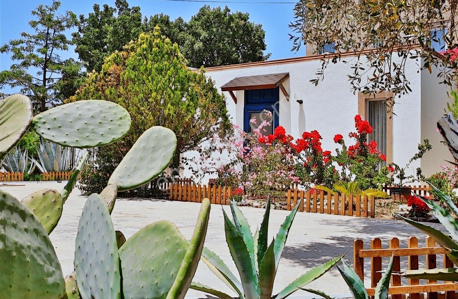 Bitez King House - Görsel 6