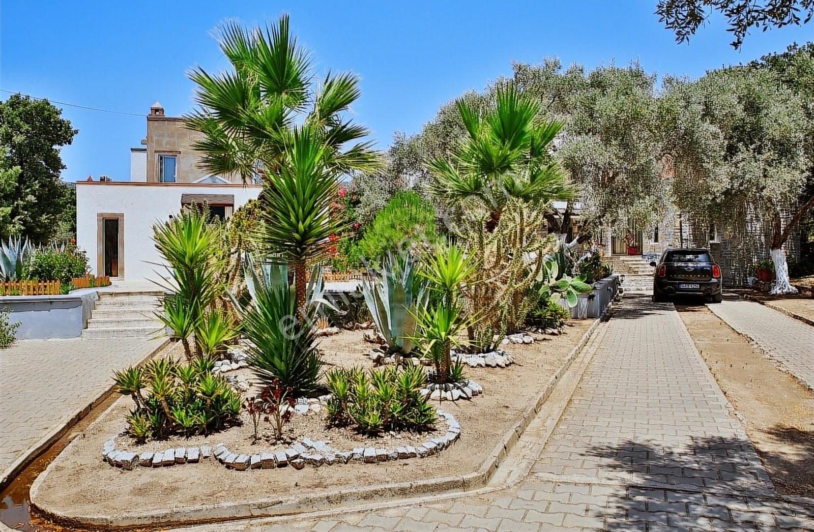 Bitez King House - Görsel 31