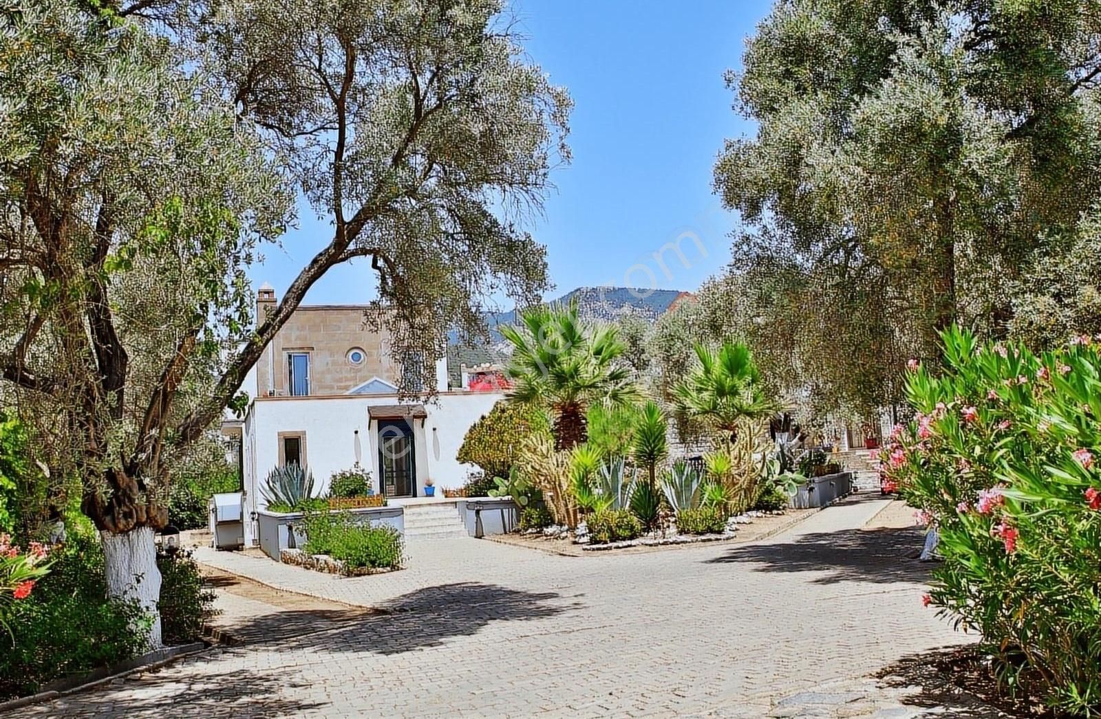 Bitez King House - Görsel 14