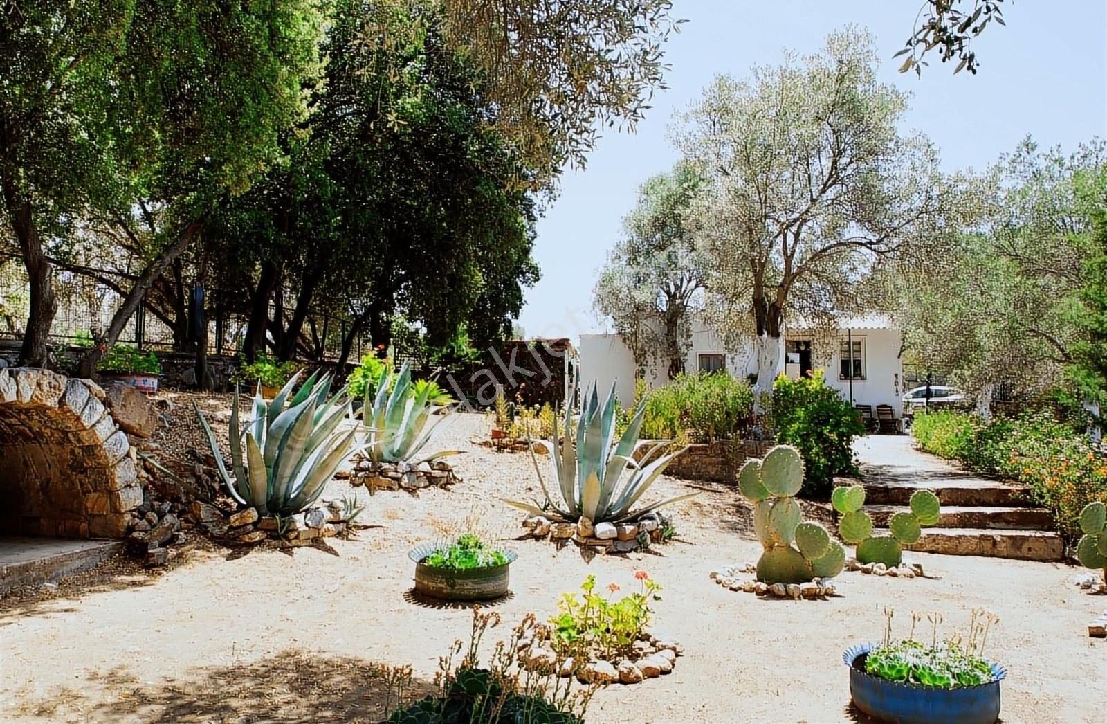 Bitez King House - Görsel 29