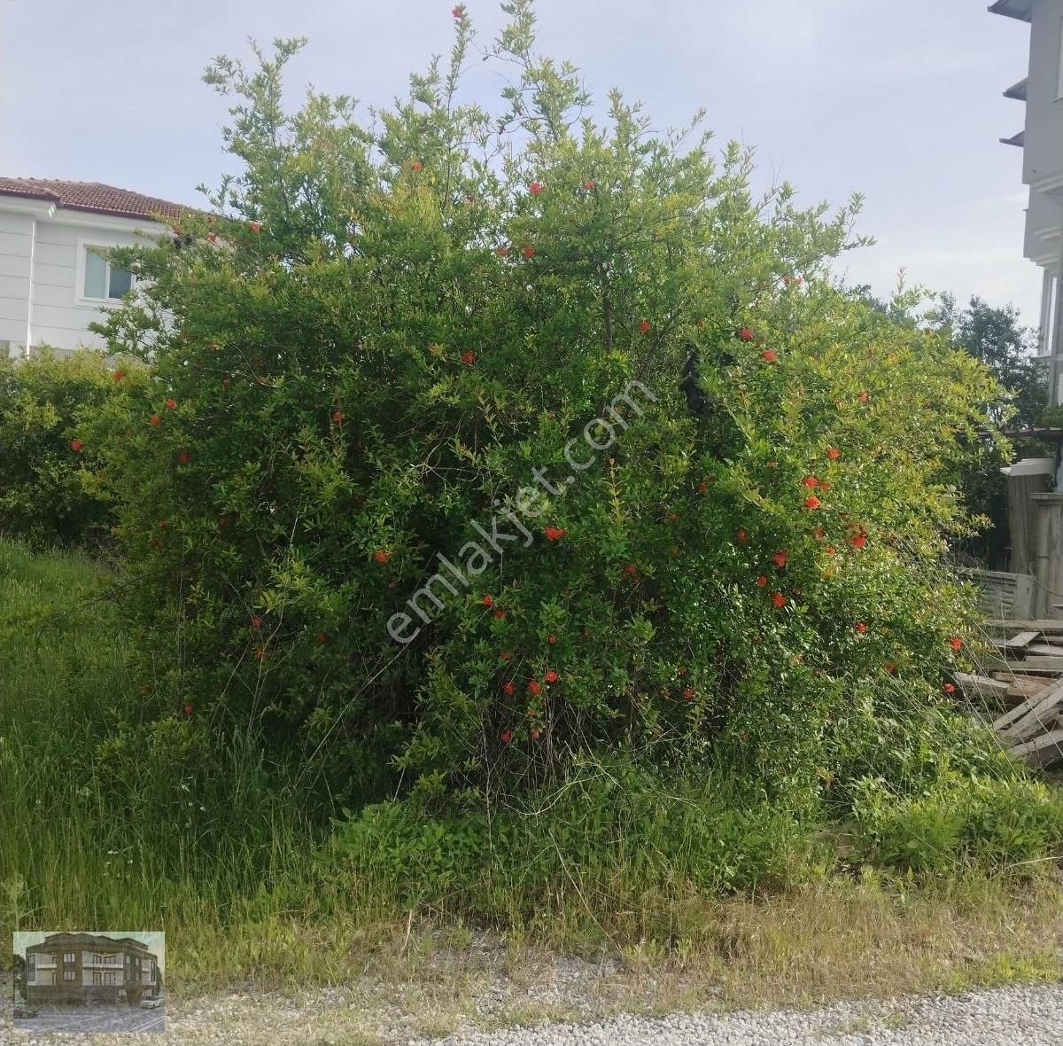 Dalaman/şerefler Mh. De Çınar Restaurant Arkasında Satılık Arsa - Görsel 8