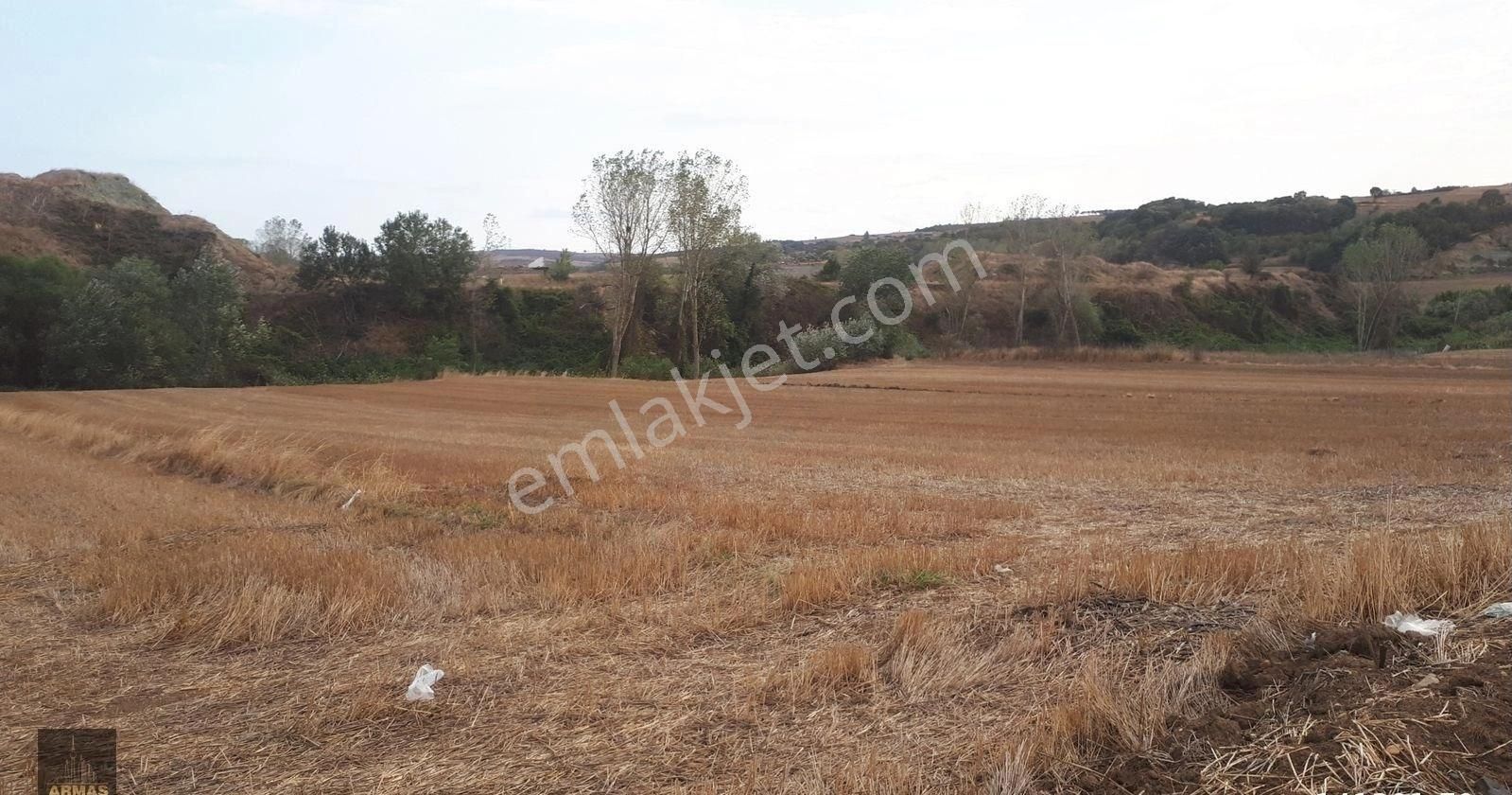 Satılık Tarla Gölet Kenarı Köseılyasda 3100 M2