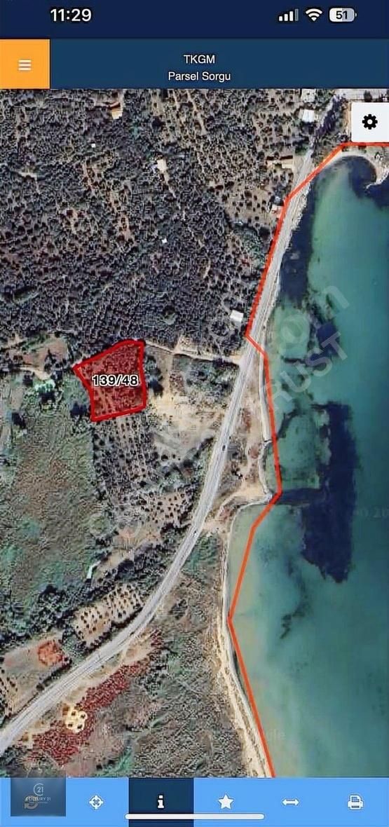 Satılık Denize Çok Yakın Zeytinlik - Görsel 3