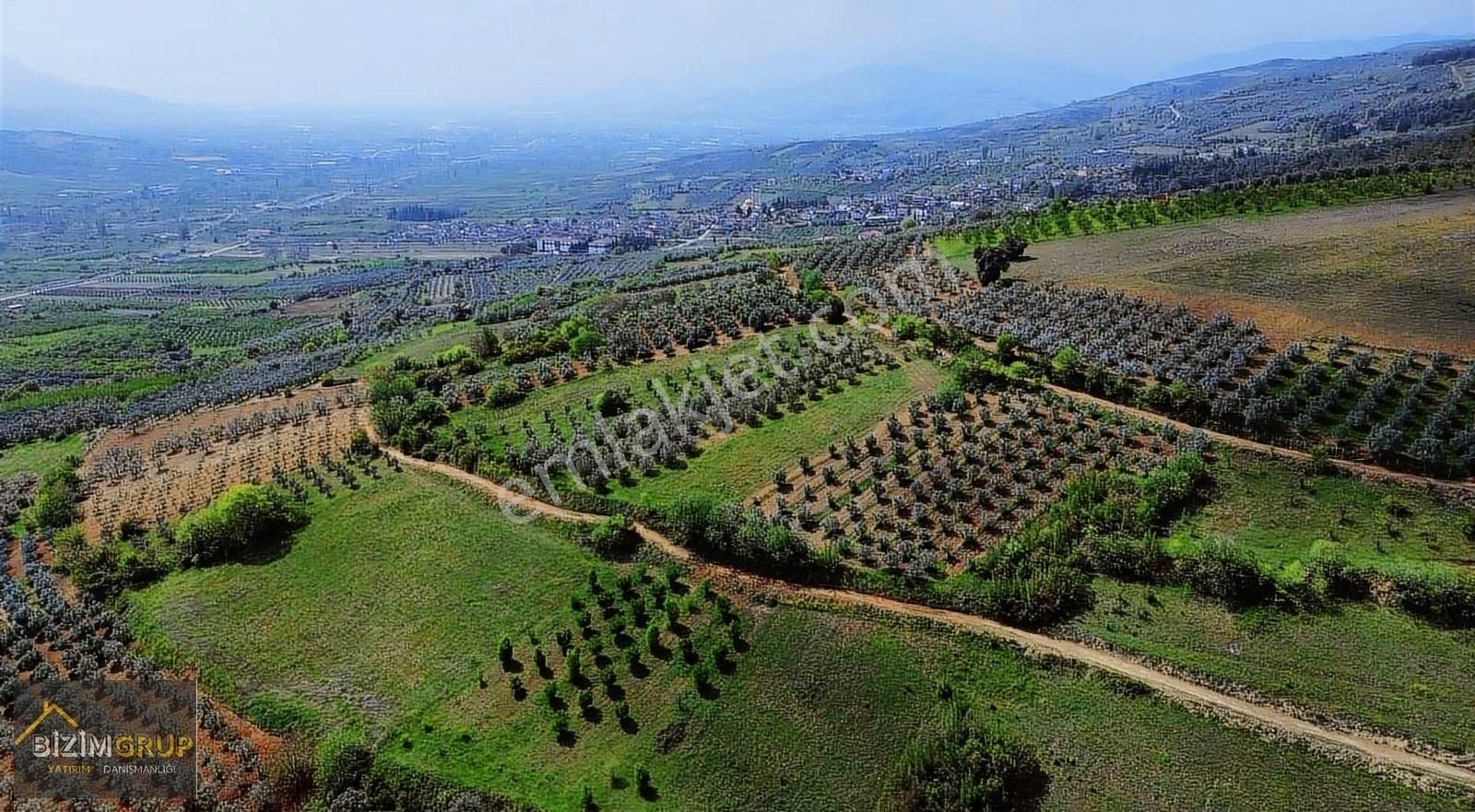 Bizim Grup'dan Dogantepe'de 1500m2 Zeytin Bahçesi