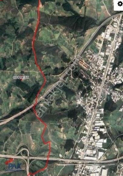 Osmangazi Çağlayanda Şehir Manzaralı Zeytinlik