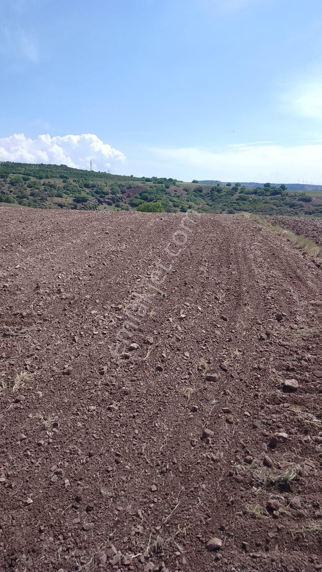 Kızılinlerde Sahibinden Satılık Tarla