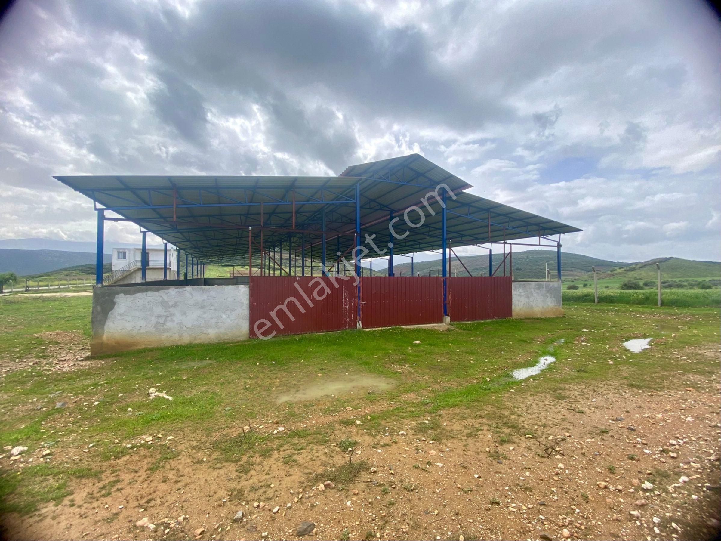 Tire Şahin Gayrimenkulden Satılık Ruhsatlı Çiftlik