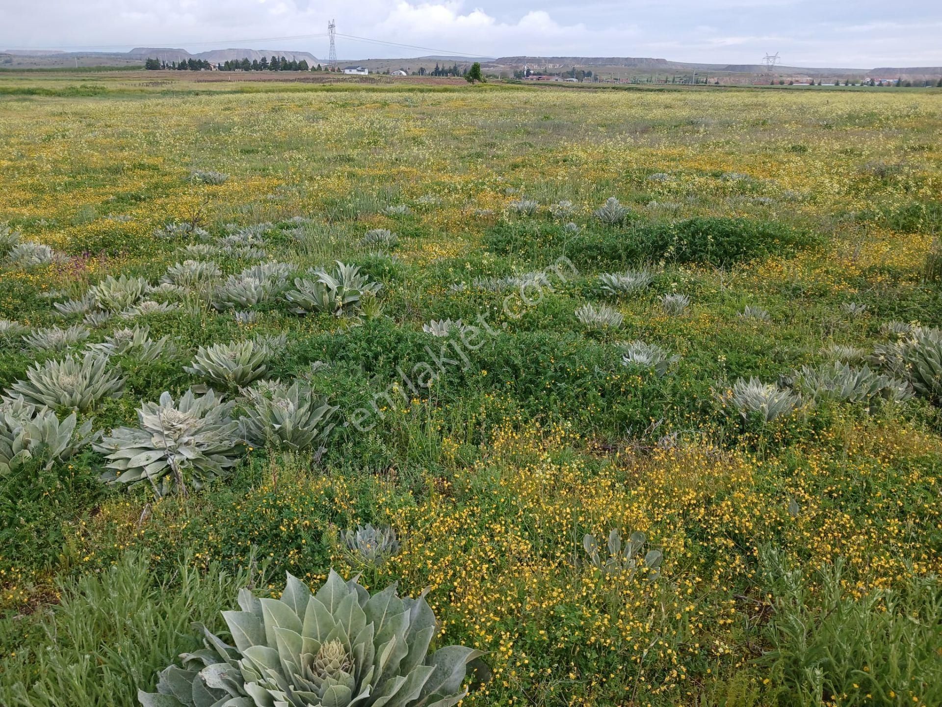 Eskişehir Nemli Mahallesi’nde Satılık Tarla