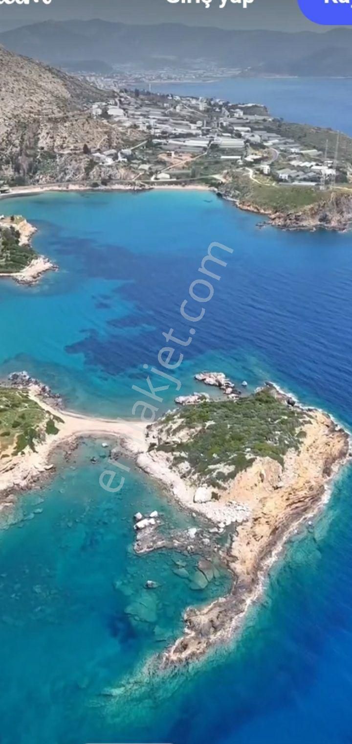 Kiralık Sera Yeri