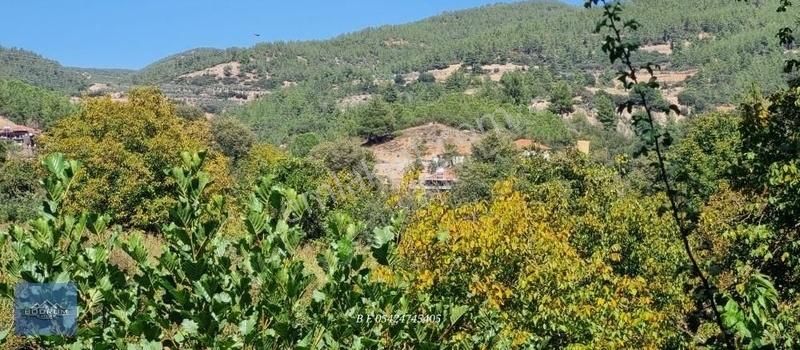 Kaçmaz Fırsat Çay Kenarı 1.580m2 Tarla