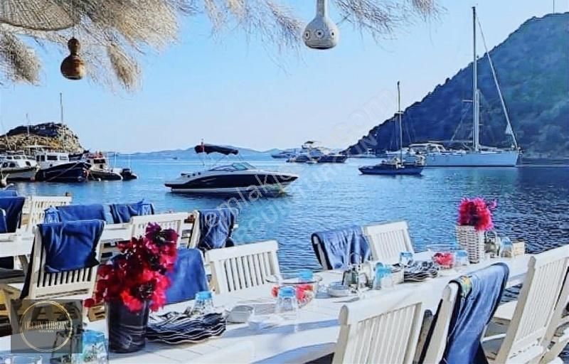 Bodrum Gümüşlük Denize 50 Adım Deniz Manzaralı Villa - Görsel 12
