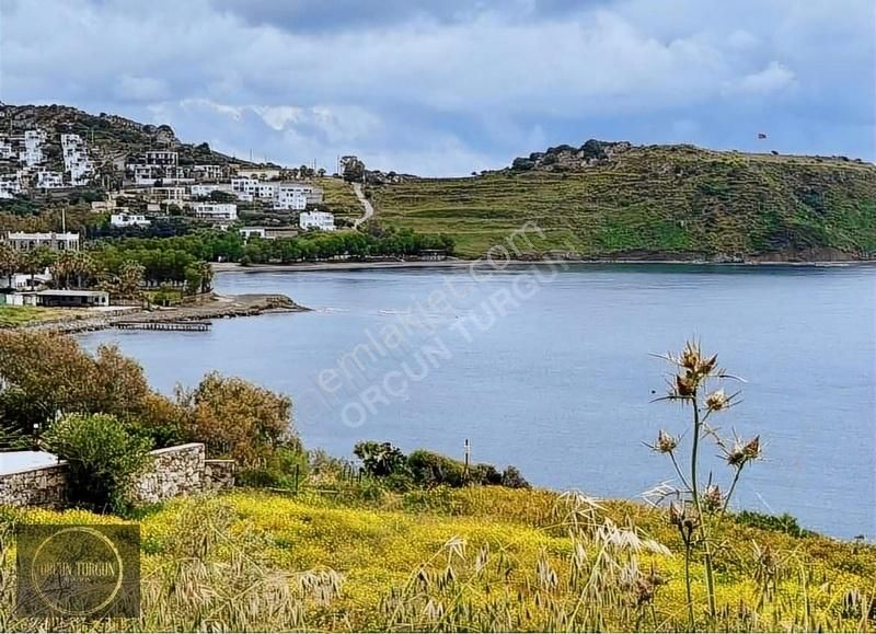 Bodrum Gümüşlük Denize 50 Adım Deniz Manzaralı Villa - Görsel 28