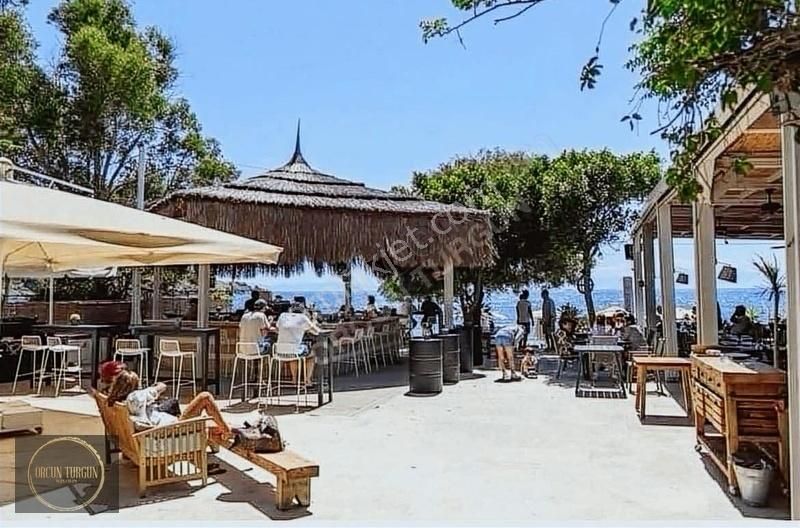 Bodrum Gümüşlük Denize 50 Adım Deniz Manzaralı Villa - Görsel 2