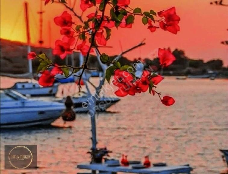 Bodrum Gümüşlük Denize 50 Adım Deniz Manzaralı Villa - Görsel 29