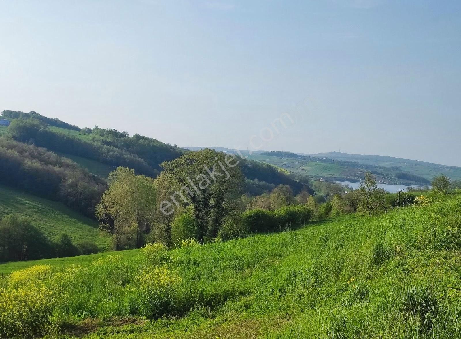 Derince Geredeli'de %5 İmarlı 2,878 M2 Satılık Arsa!!!