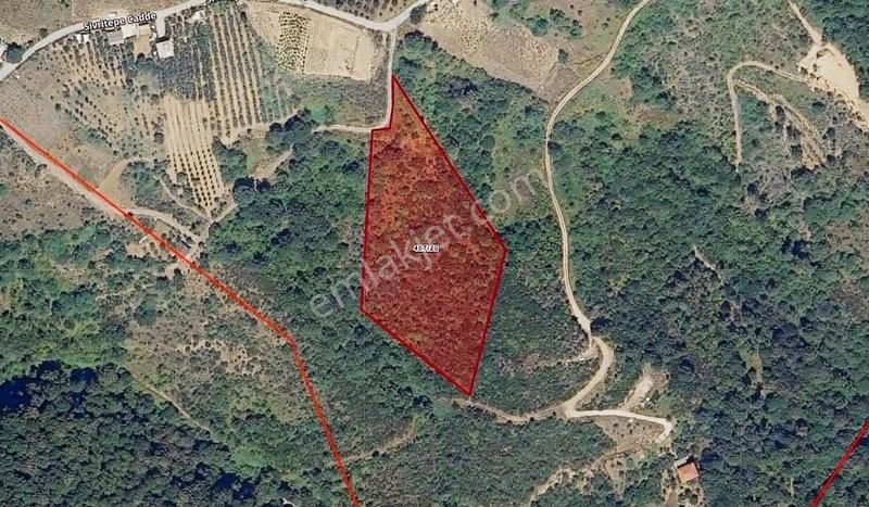 Gölcük Düzağaç Mh. 9,959 M2 %5 İmarlı Fırsat Arsa!!!