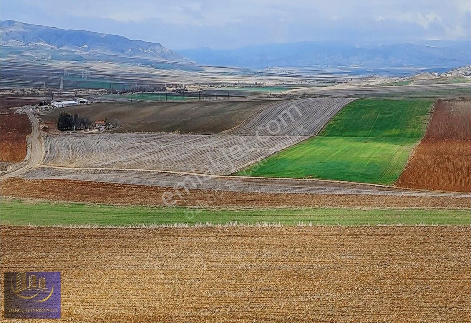 Ayaş Tekke Sevindirik' Te Tek Tapu İmarlı 5 Dönüm Arsa - Görsel 14