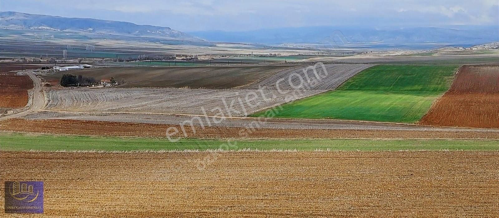Ayaş Tekke Sevindirik' Te Tek Tapu İmarlı 5 Dönüm Arsa - Görsel 30