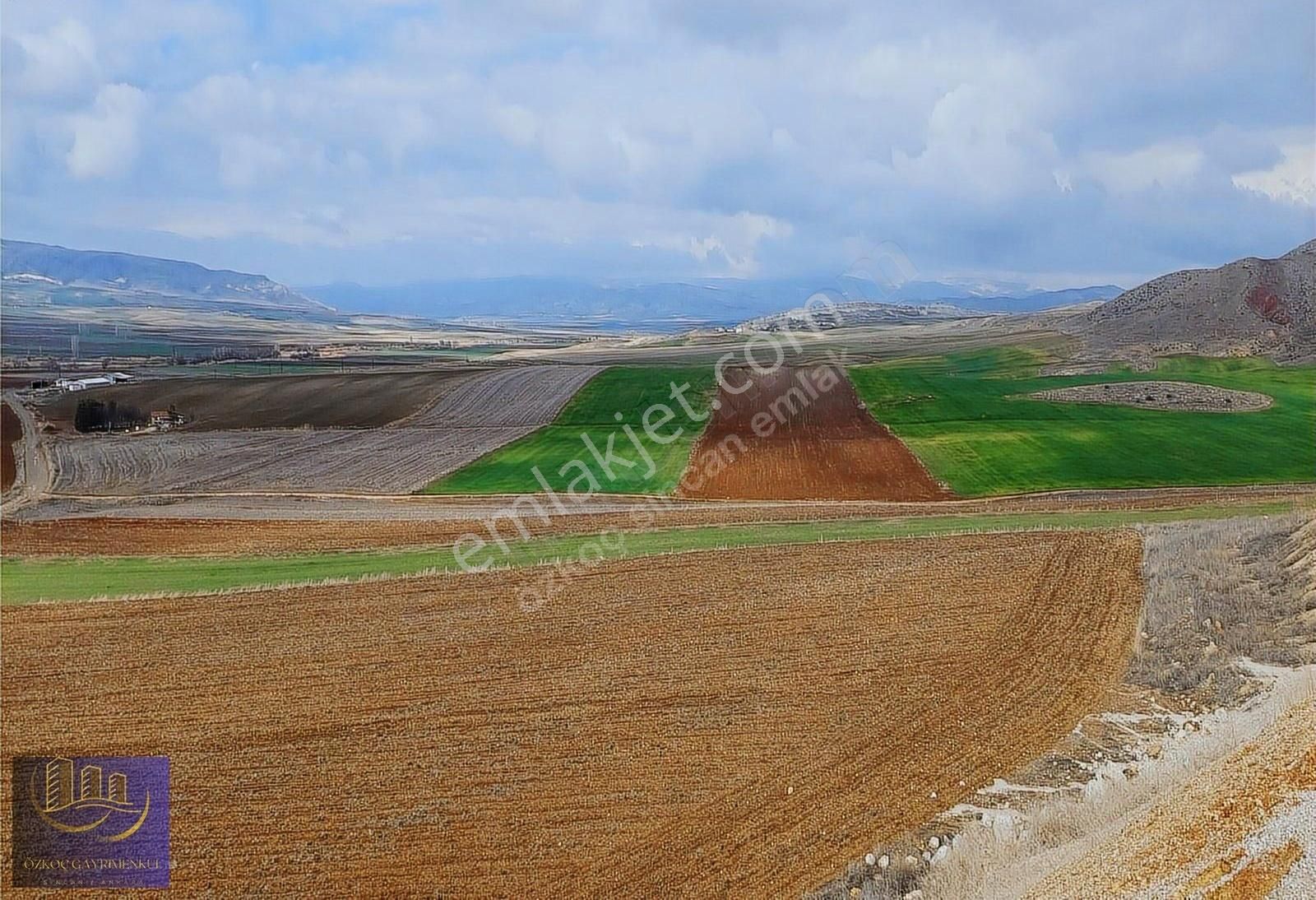 Ayaş Tekke Sevindirik' Te Tek Tapu İmarlı 5 Dönüm Arsa - Görsel 2