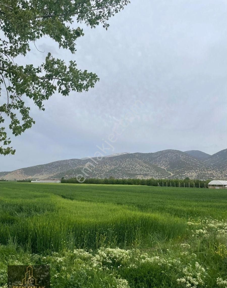 Antalya Elmalı Tekke Mahalle Merkezine Yakın Asfalt Yola Cephe 5.327m2 Satılık Tarla - Görsel 3