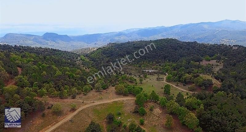 Ayvacık Adatepe Köyünde Satılık 71 Dönüm Tarla