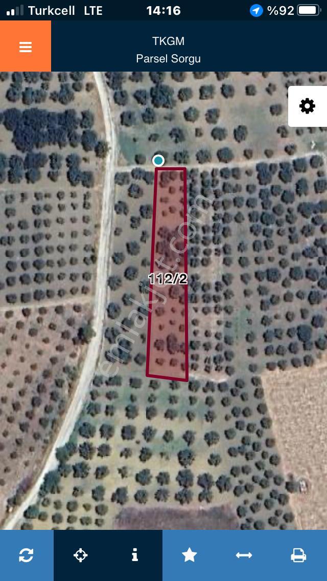 Şarköyde Işık Emlaktan Eriklice Mah De 1380 M2 Zeytinlik - Görsel 14