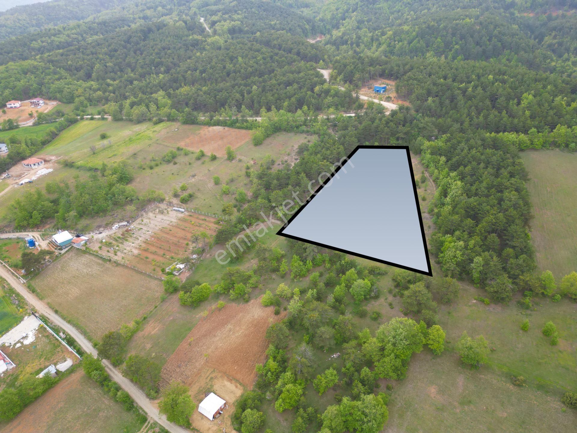 Yatırımlık 7.487m² Geniş Tarla – Hüseyinli Mahallesi / Pamukova / Sakarya
