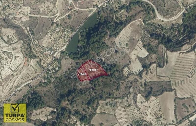 Demirci 7772m2 Bağ