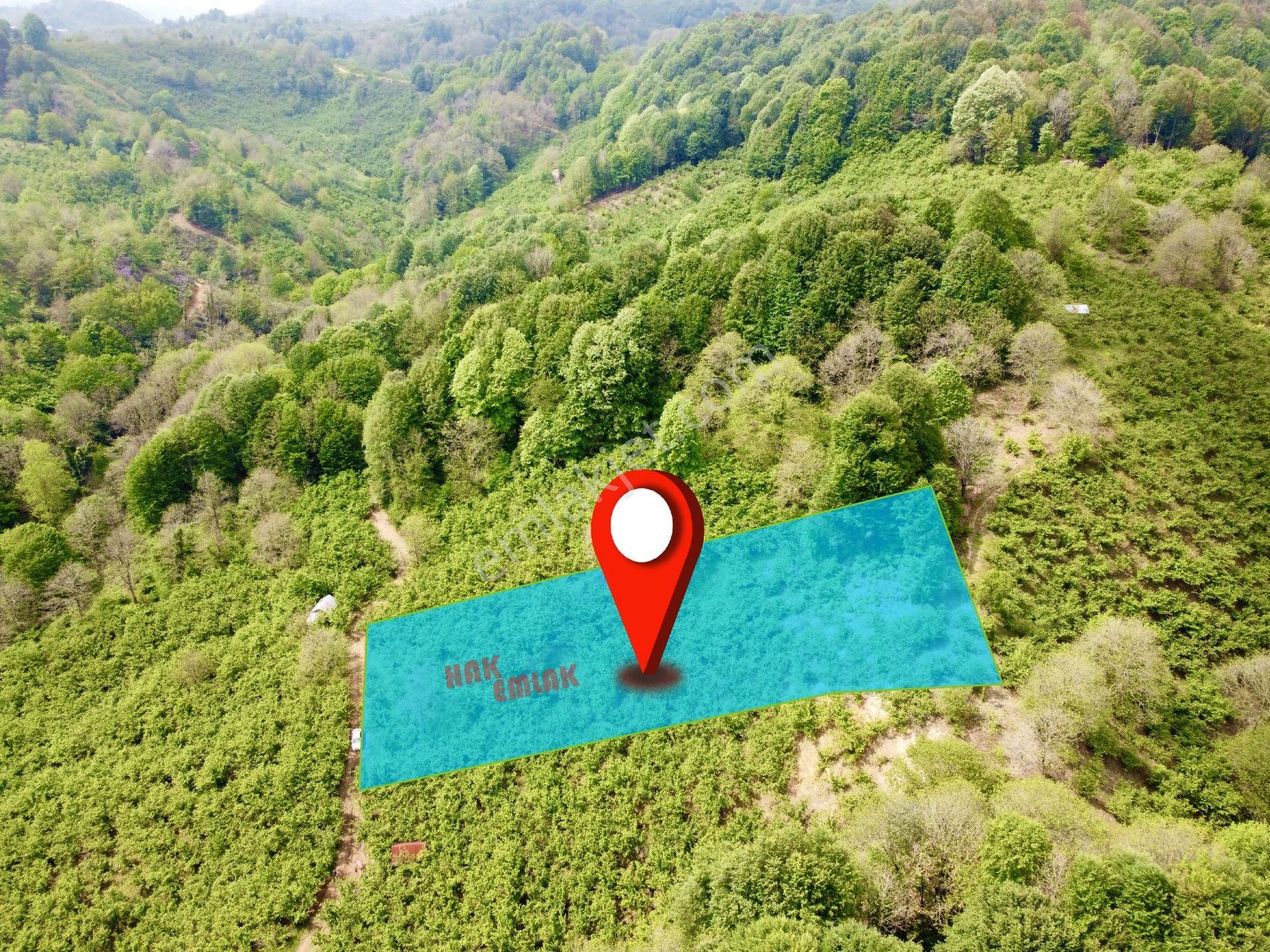 Hak Emlak'tan Dokuzpınar Mah.de Satılık 2.712 M² Fırsat Hobi Bahçesi