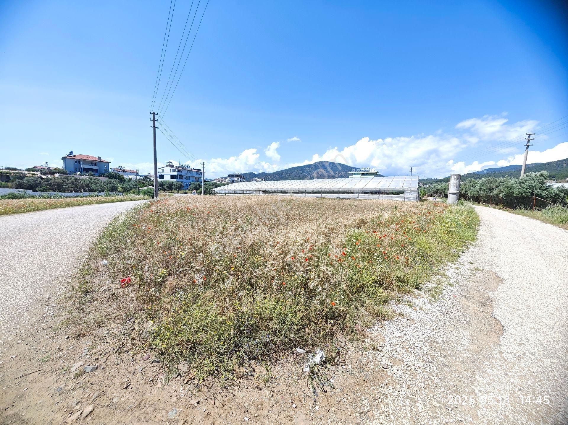 Fethiye Müstakil Tarla