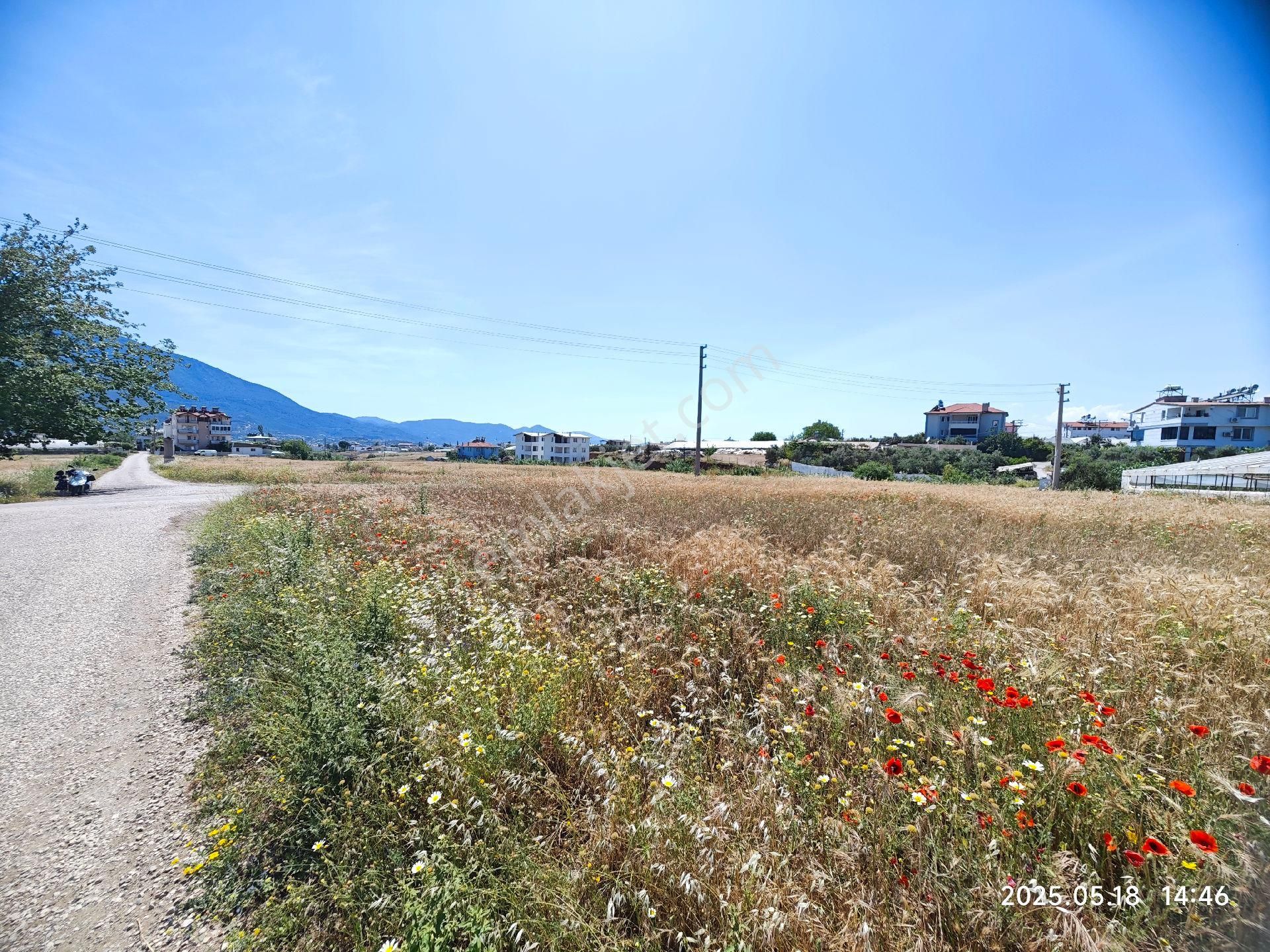 Fethiye Müstakil Tarla - Görsel 6