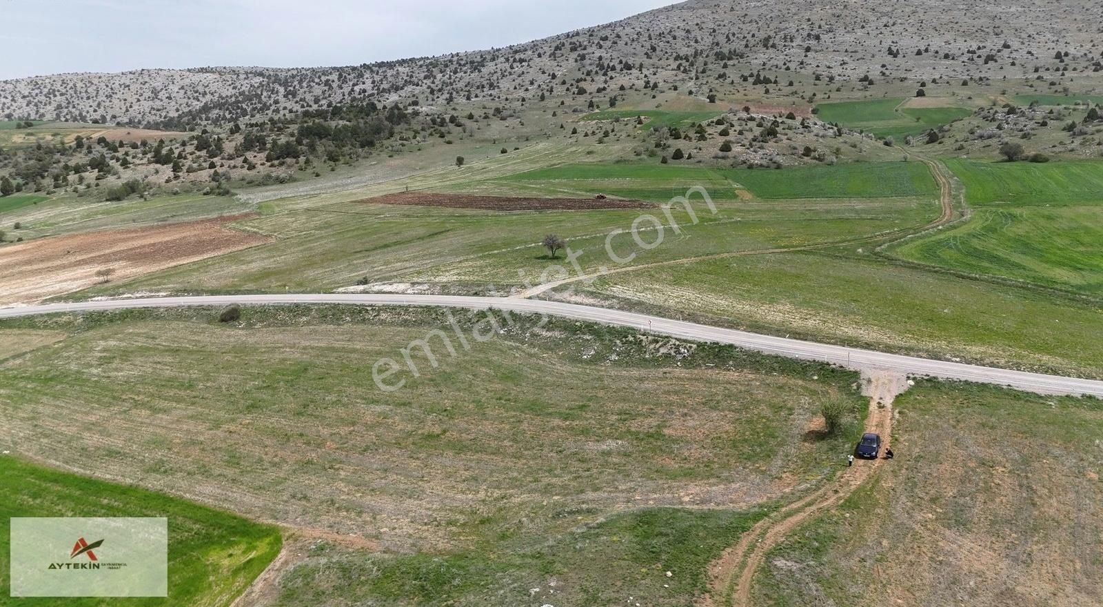 Asvalt'a Bir Parsel Ekilir Dikilir Süper Tarla