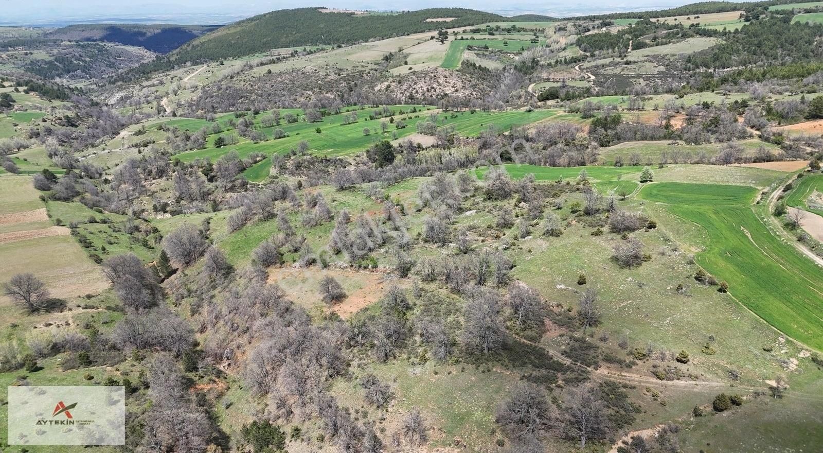 Kemer De 3660 M² Tarla / Doğanhisar / Konya