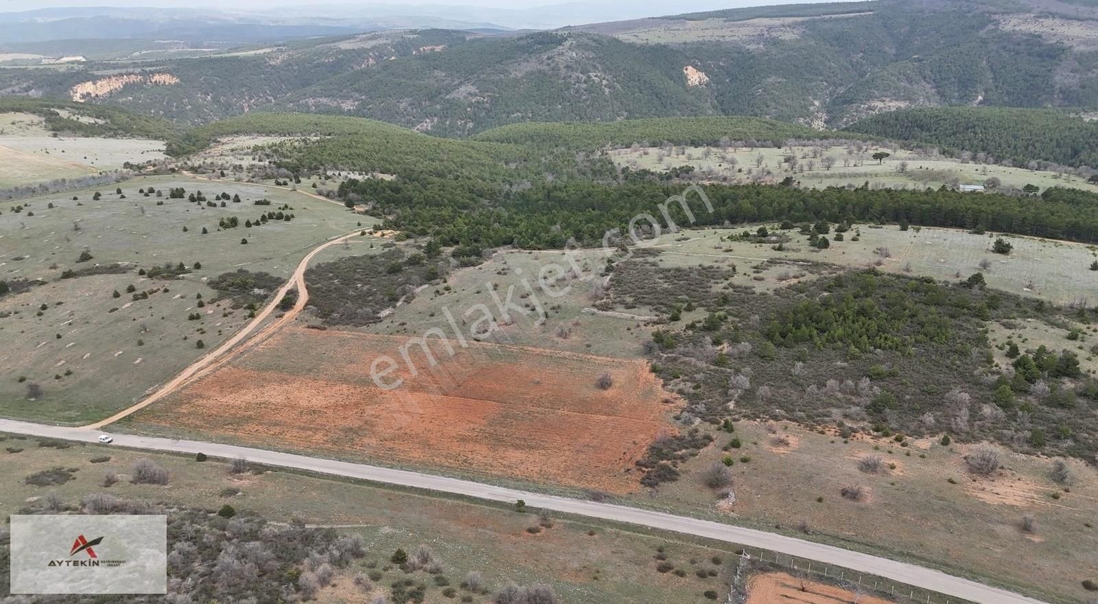Ayaspaşa (ayaslar) Mah 19.003 M² Tarla / Doğanhisar / Konya