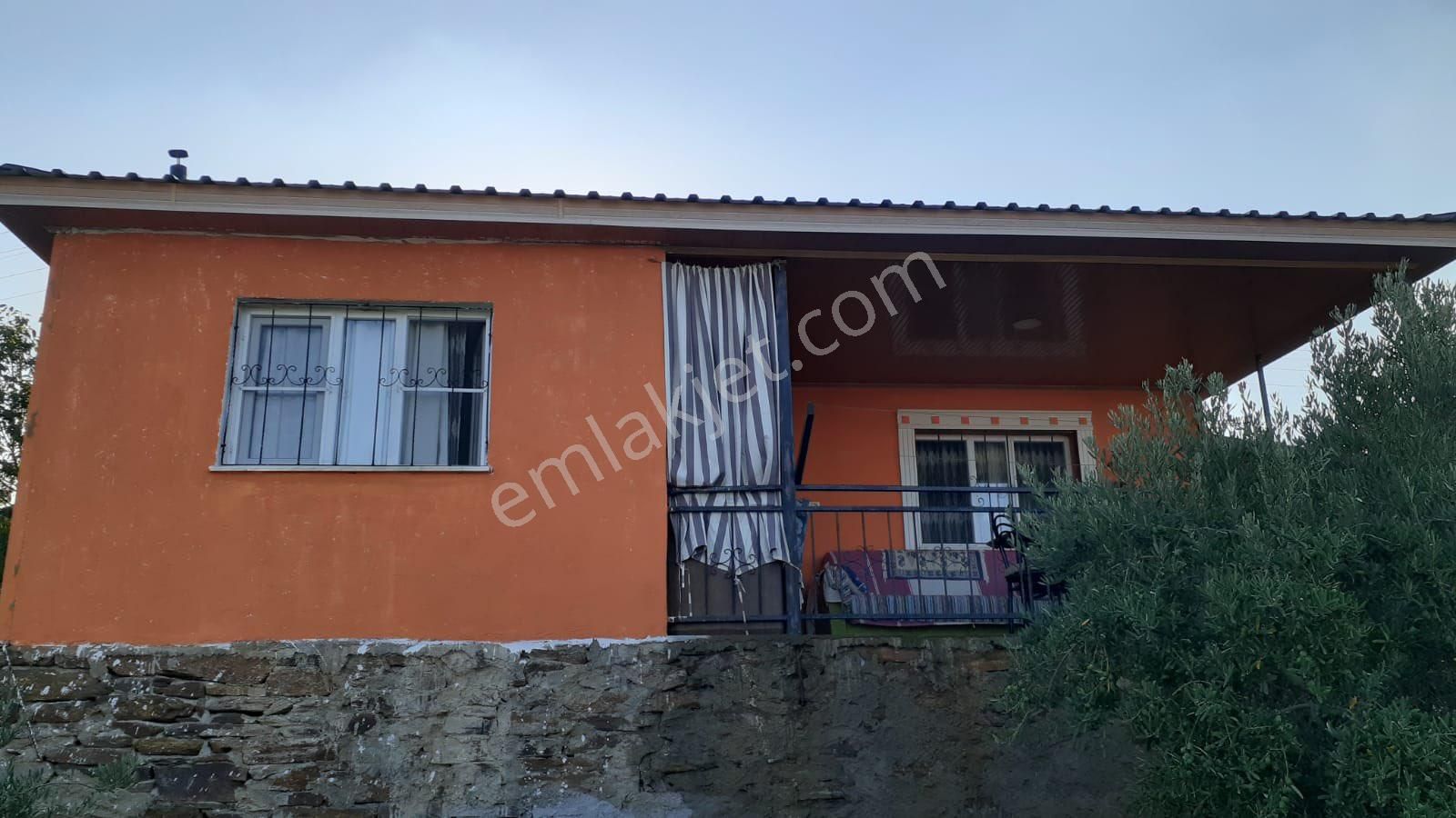 Zeytinlik Ve Bağ Satılık - Görsel 16