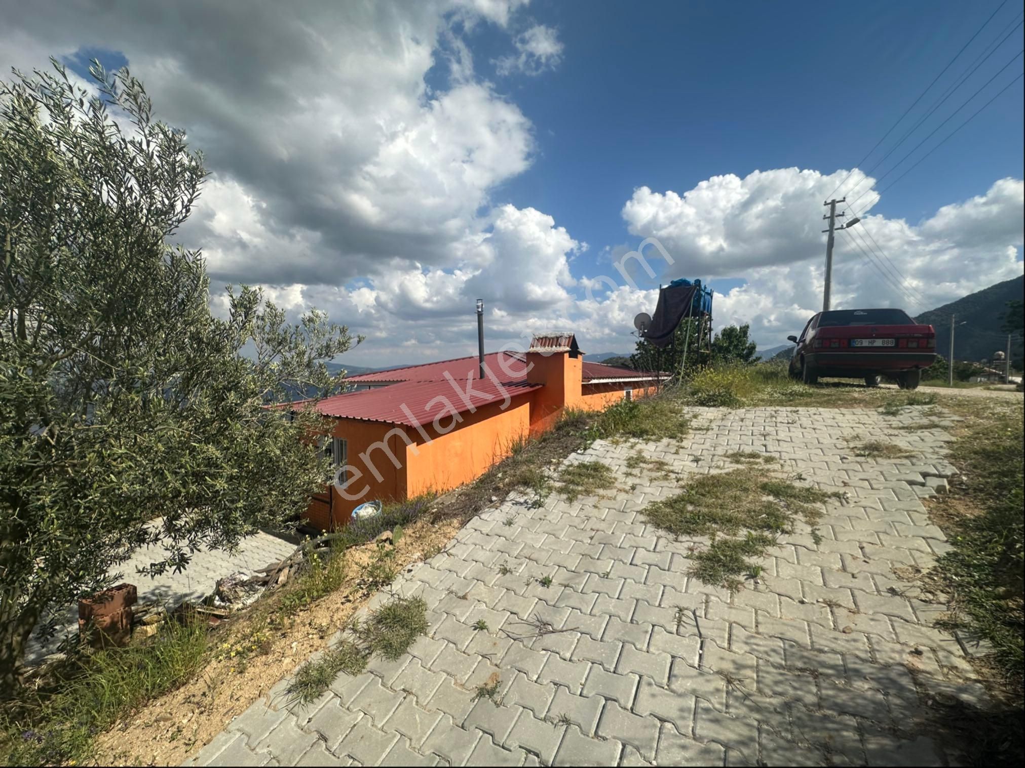 Zeytinlik Ve Bağ Satılık - Görsel 12