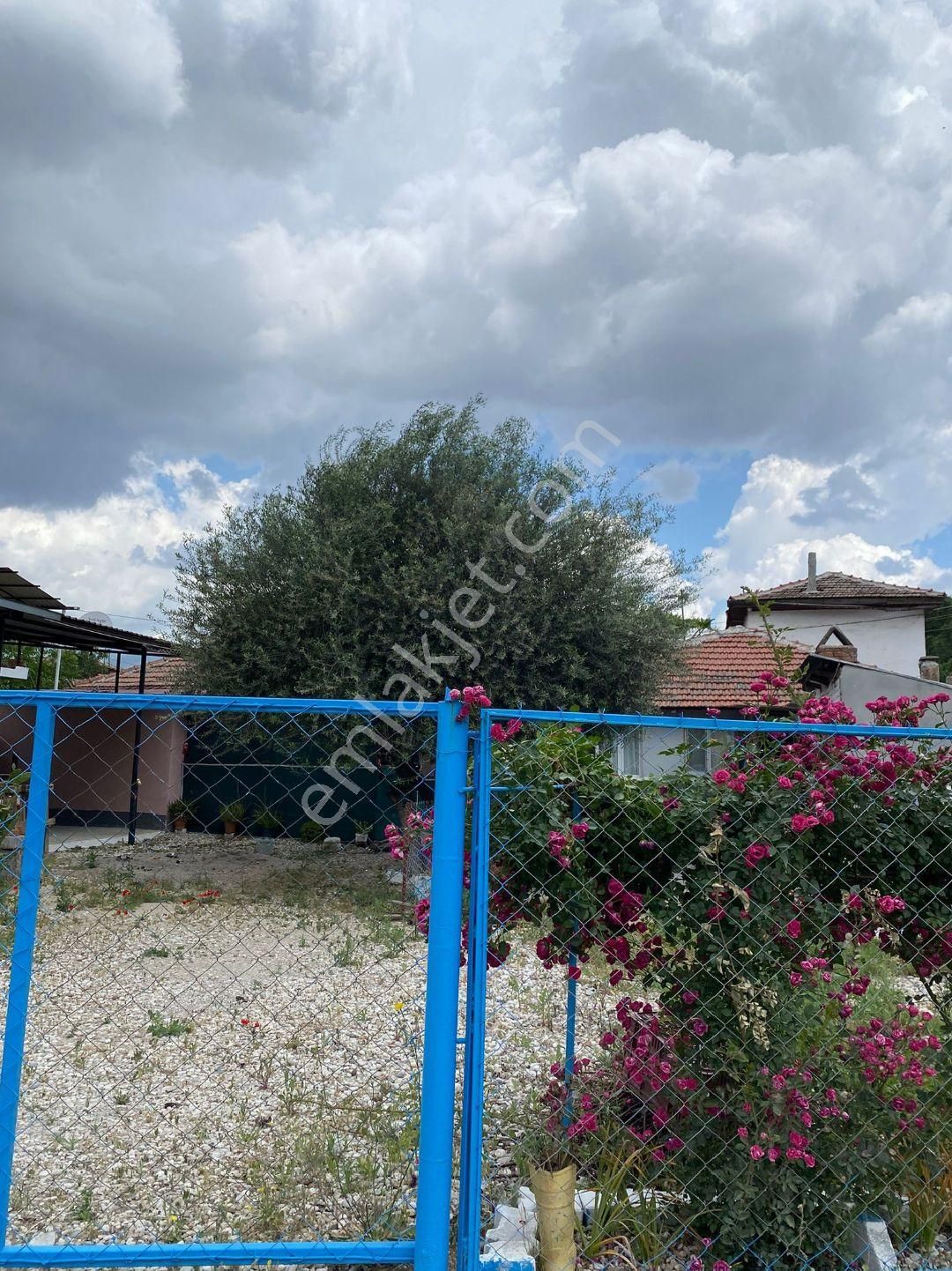 Adala'da Doğanın İçinde Kaçırmayın.! - Görsel 2