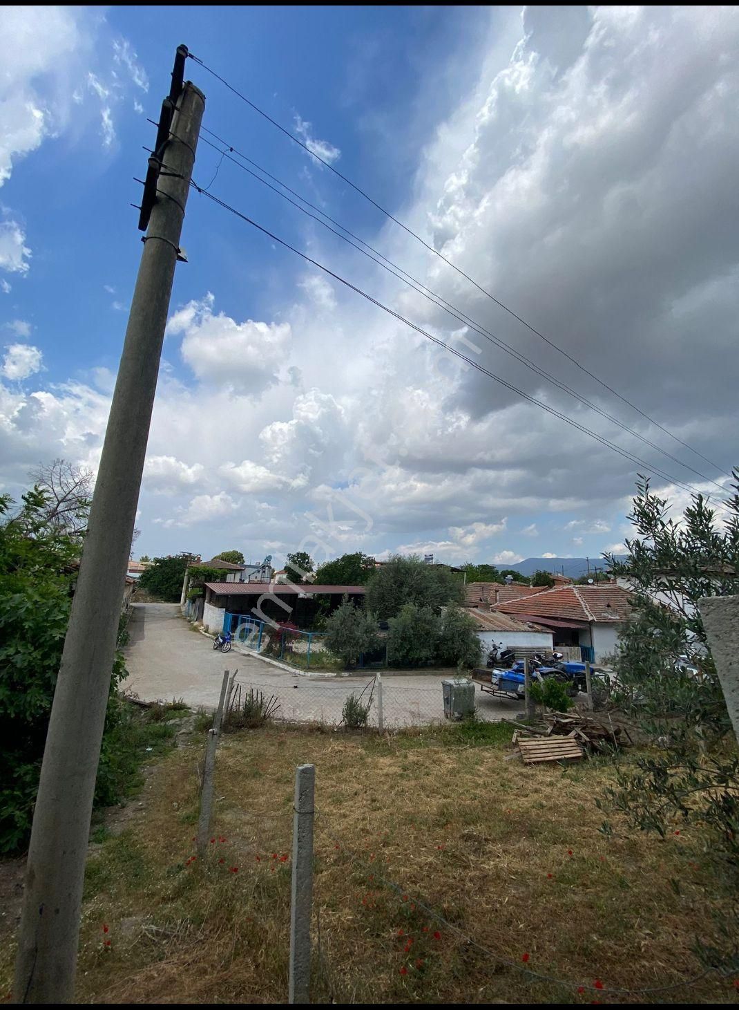 Adala'da Doğanın İçinde Kaçırmayın.! - Görsel 4