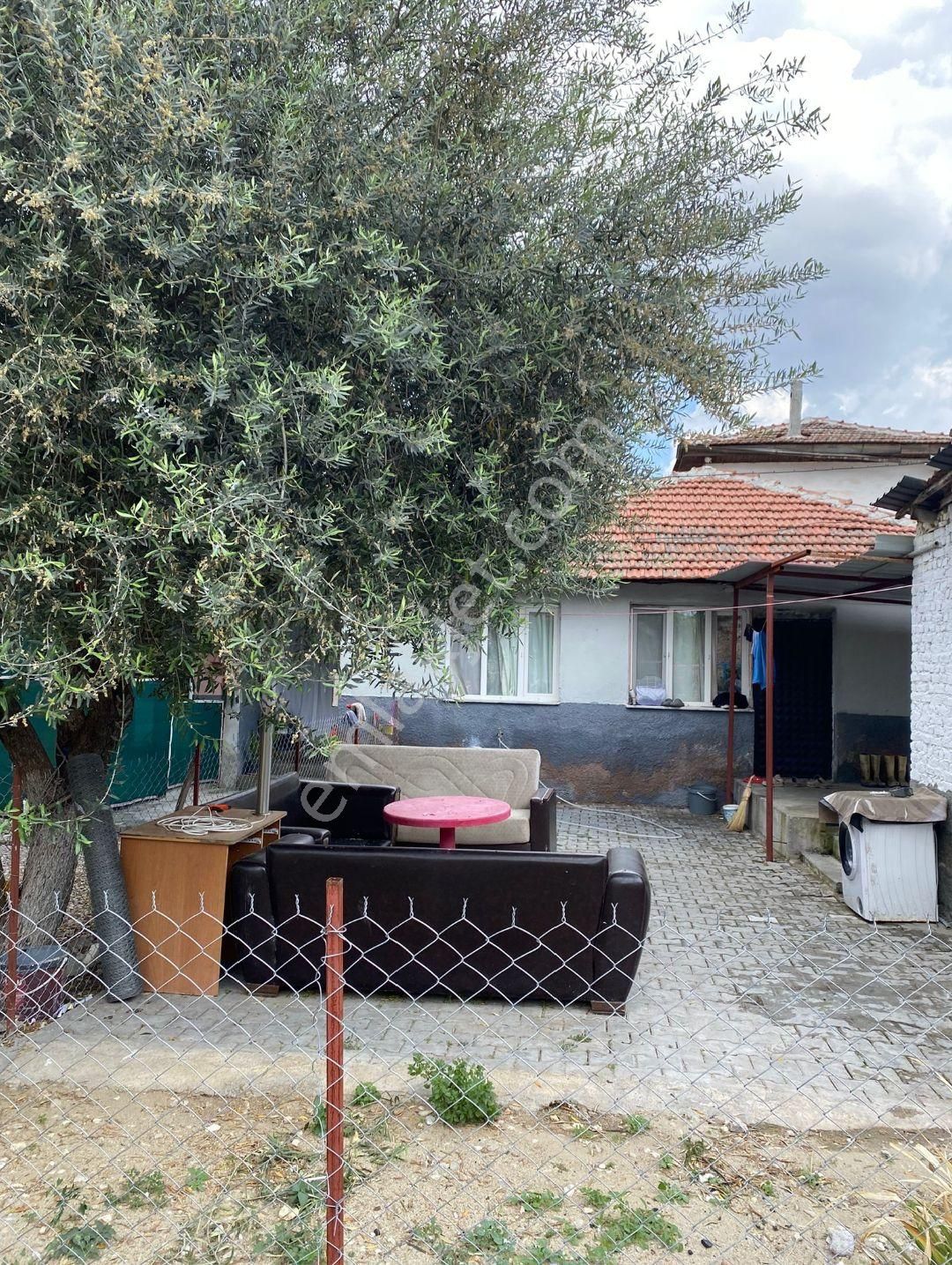 Adala'da Doğanın İçinde Kaçmaz..!