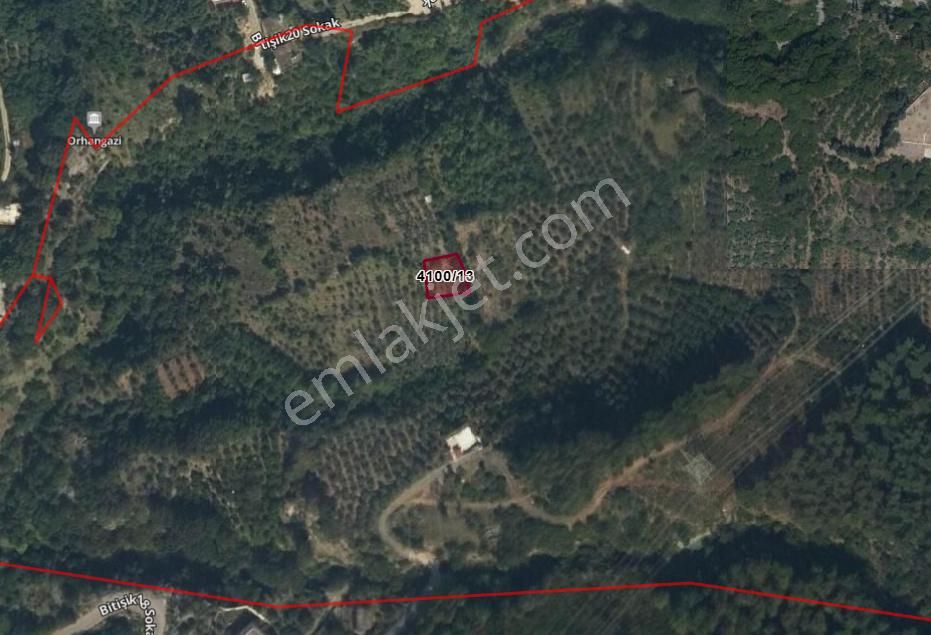 Bitişik Mahallesinde 352 M² Zeytinlik