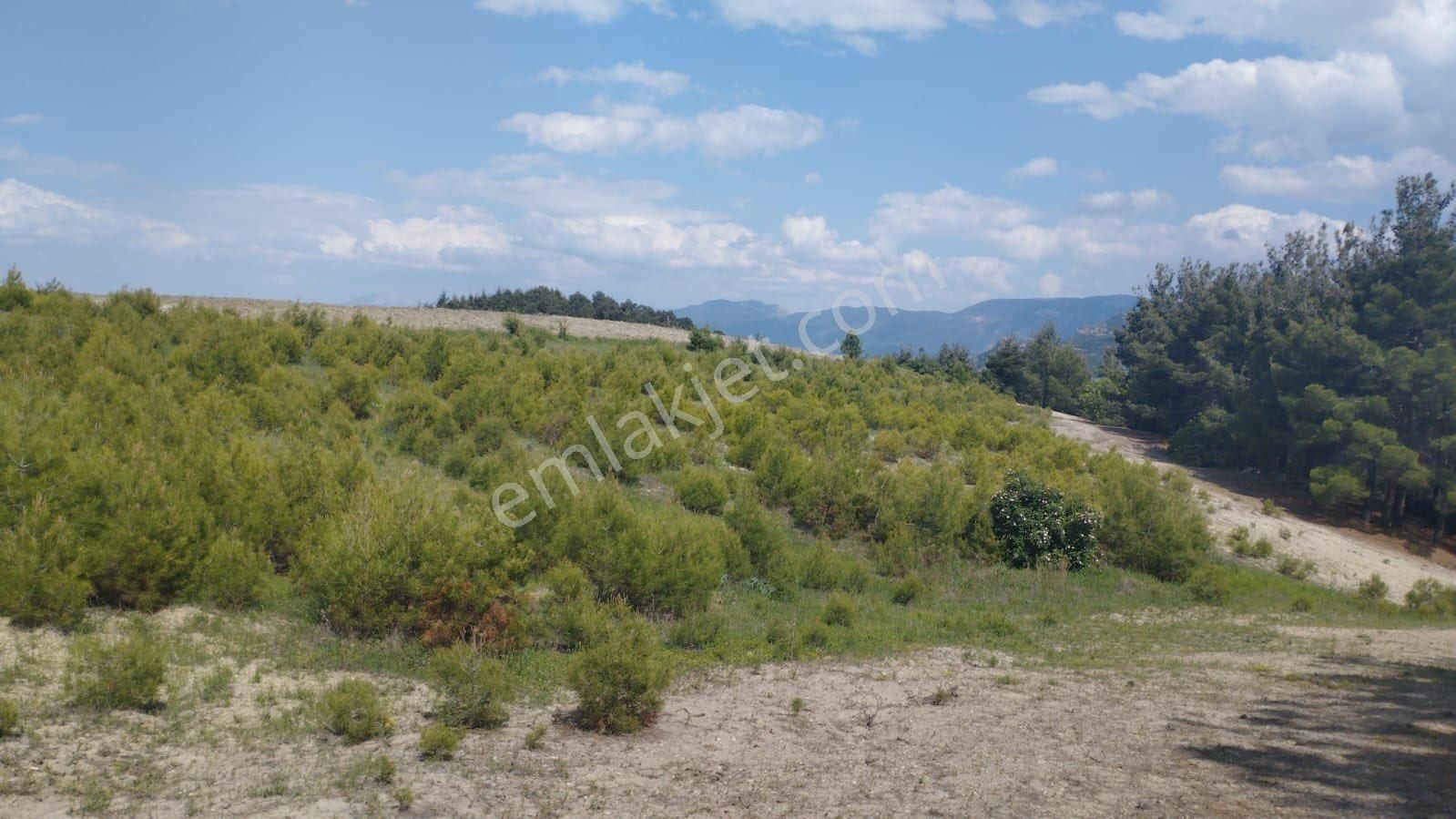 Denizli Bozkurt İncelerde Fırsatın Fırsatı Tarla 9363m2 Sadece 489bin