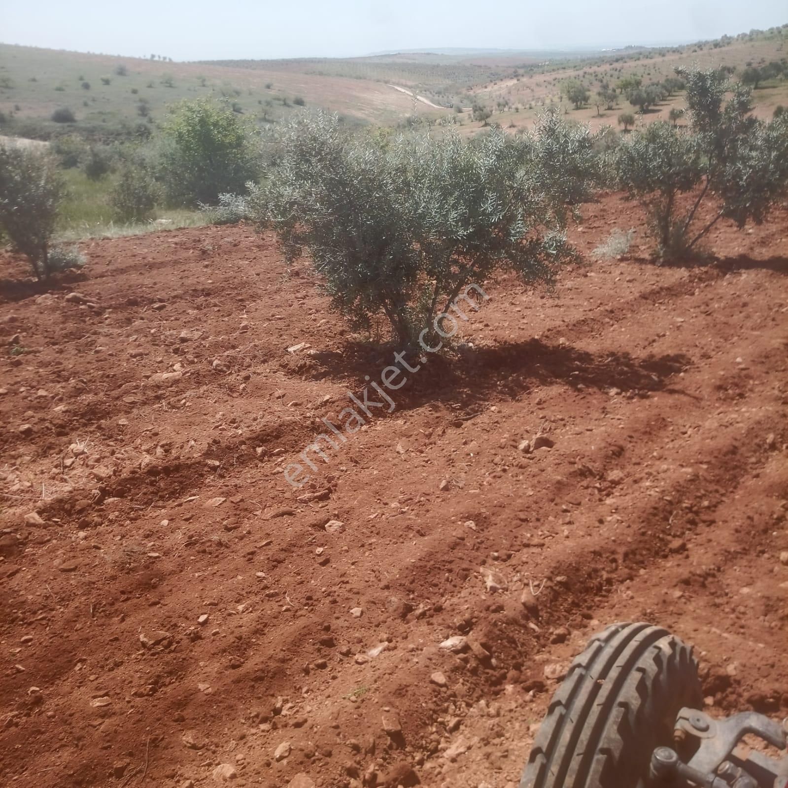 Utku Emlak Yatırım Danışmanlığı - Görsel 3