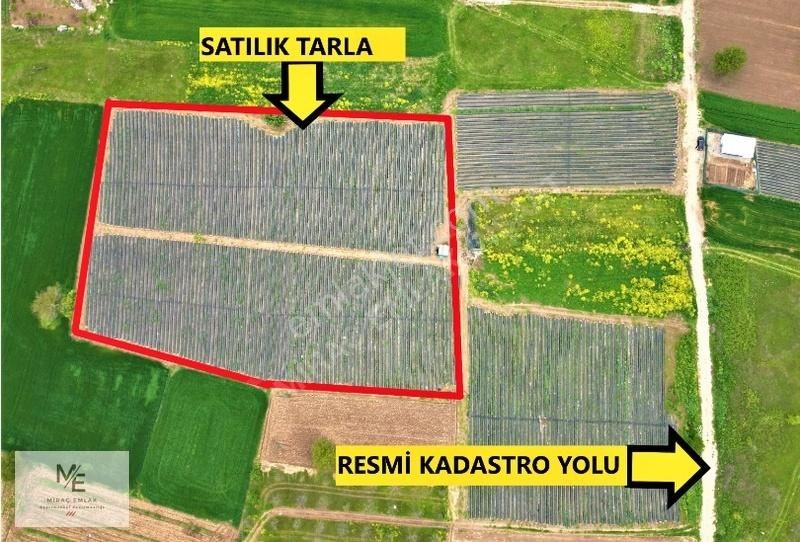 Miraç Emlaktan Küçükyenicede Hazır Kurulu 9.900m² Çilek Tarlası