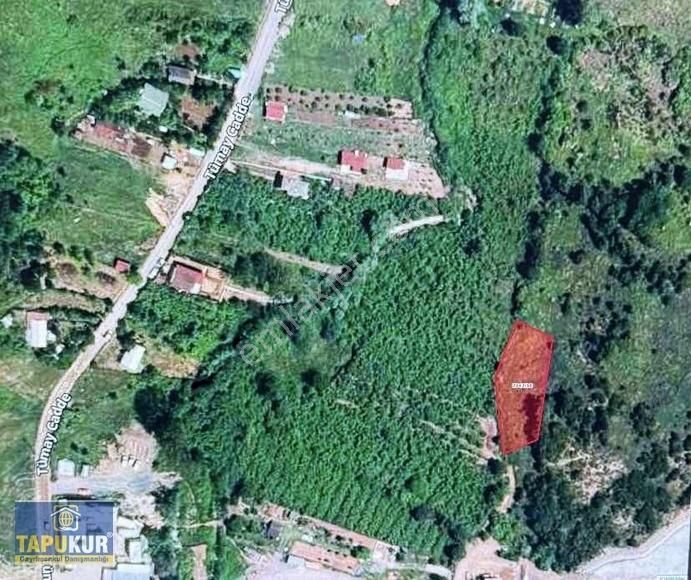 Şilede Satılık 1034m2 Tarla Denize Ve Yerleşime Yakın