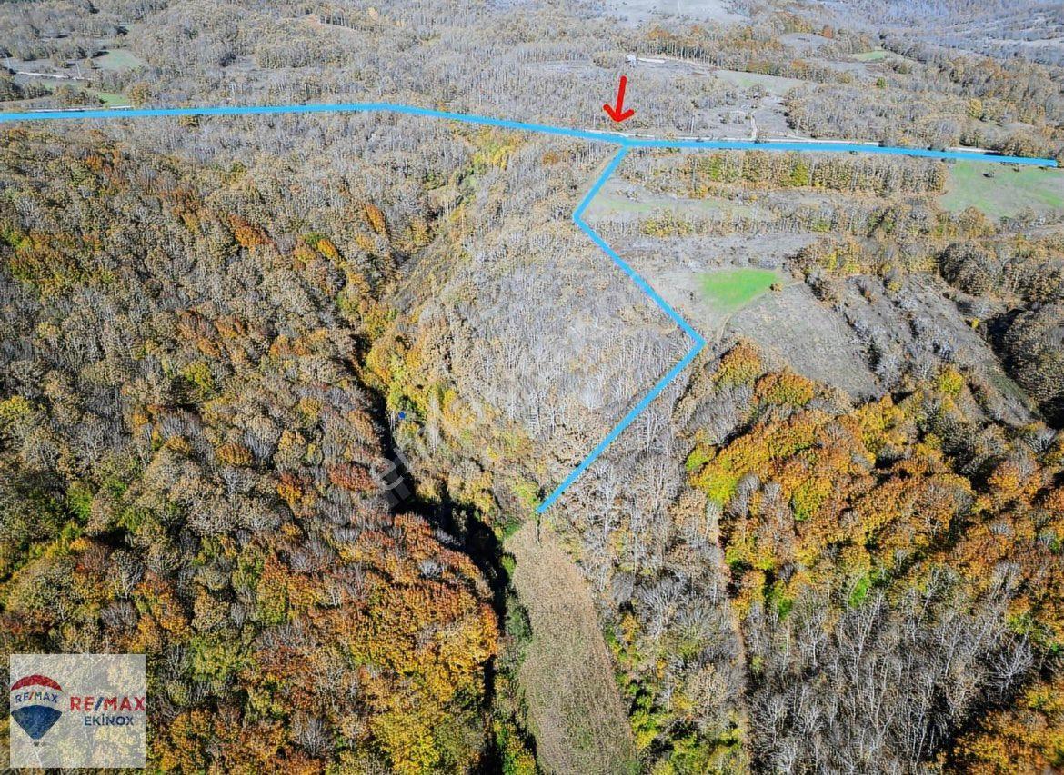 Armutveren Köyünde Müstakil Tarla - Görsel 14