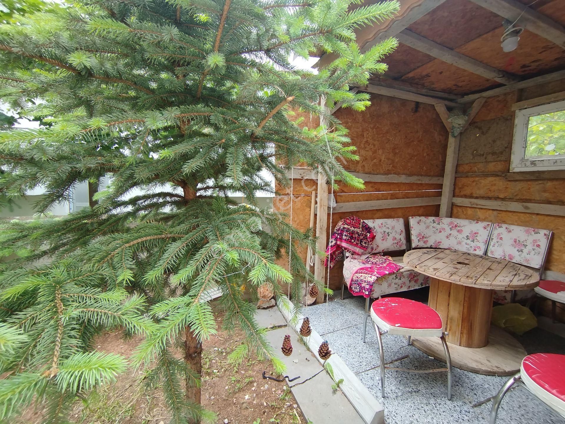 Sivas Kiralık Daire- Akdeğirmen Mah. 3+1 Giriş Kat