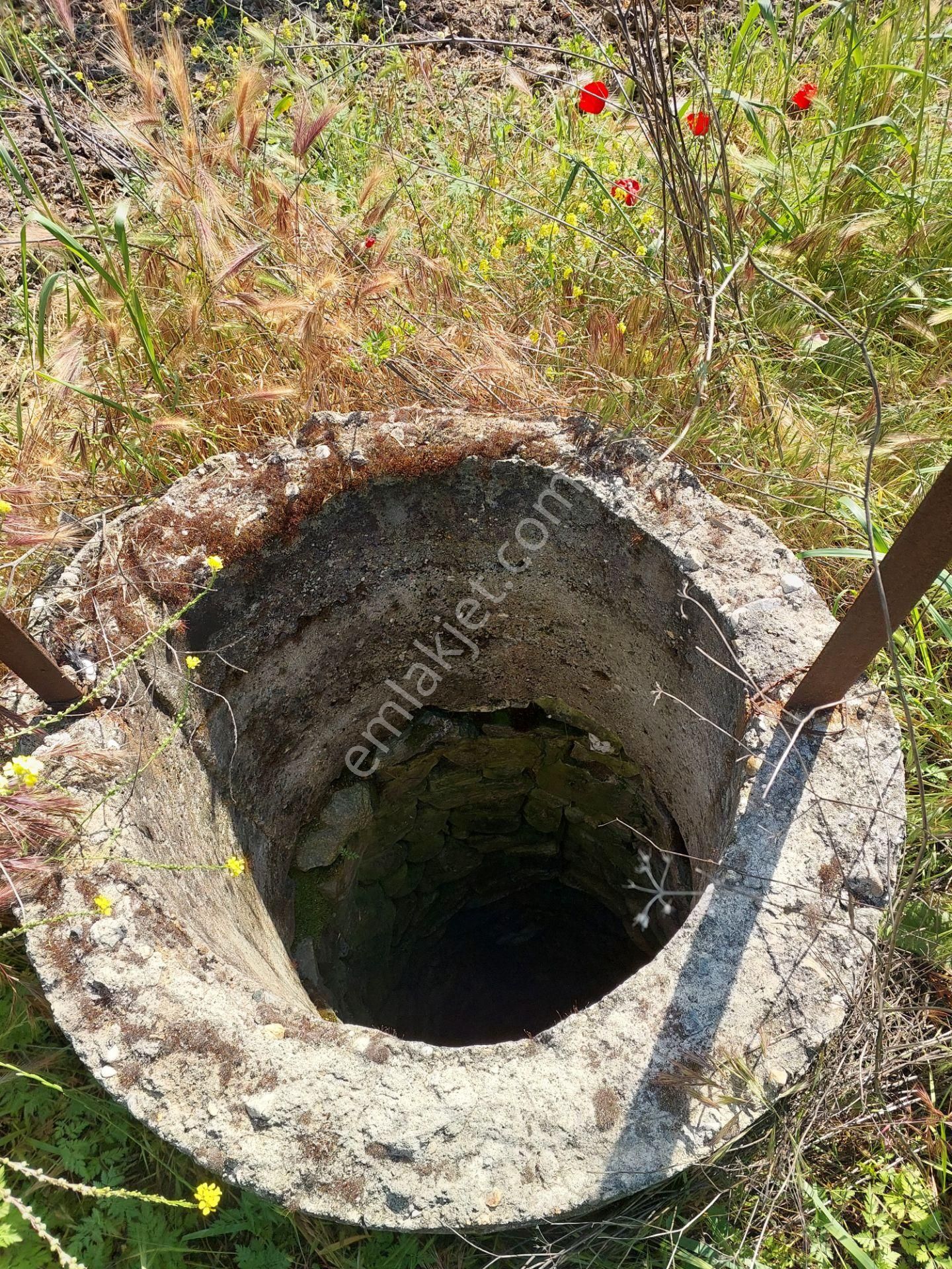 Bursa Mudanya Yörükali,de Satılık Denizmanzaralı 24.dönüm Zeytinlik - Görsel 30